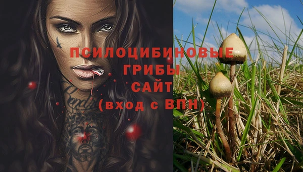 mix Каменка