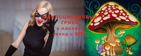 СК Каменск-Шахтинский