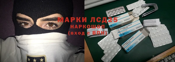 apvp Каменногорск