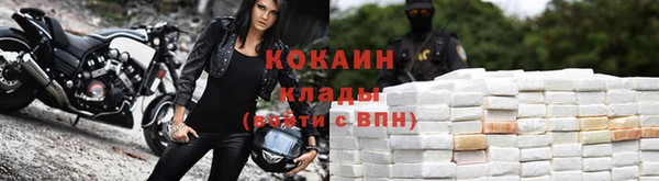 apvp Каменногорск