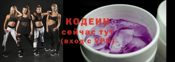 apvp Каменногорск