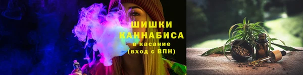 СК Каменск-Шахтинский