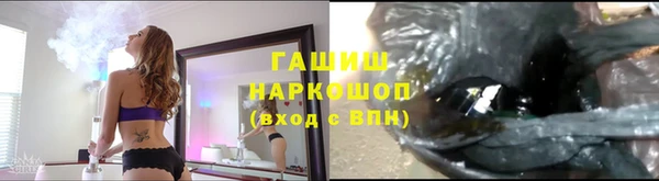 apvp Каменногорск